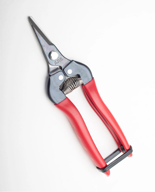 ARS 6" Short Nose Clippers - Straight