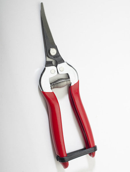 Grape Clippers - 7" Carbon Steel w/ Curved Blade
