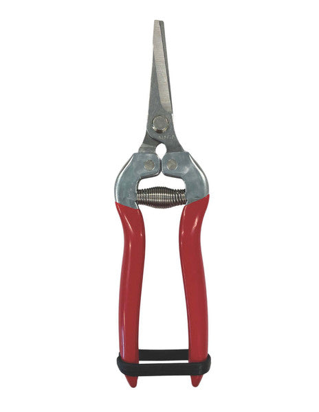Grape Clippers - 7" Stainless Steel