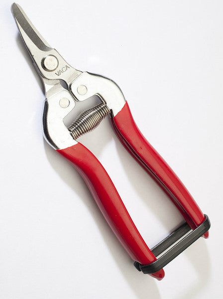 Grape Clippers - 6" Stainless Steel w/ Curved Blade