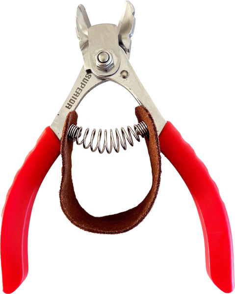 Apple / Citrus Clipper (5260)