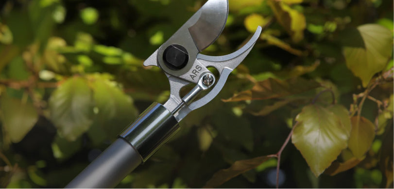 Pruning Tools