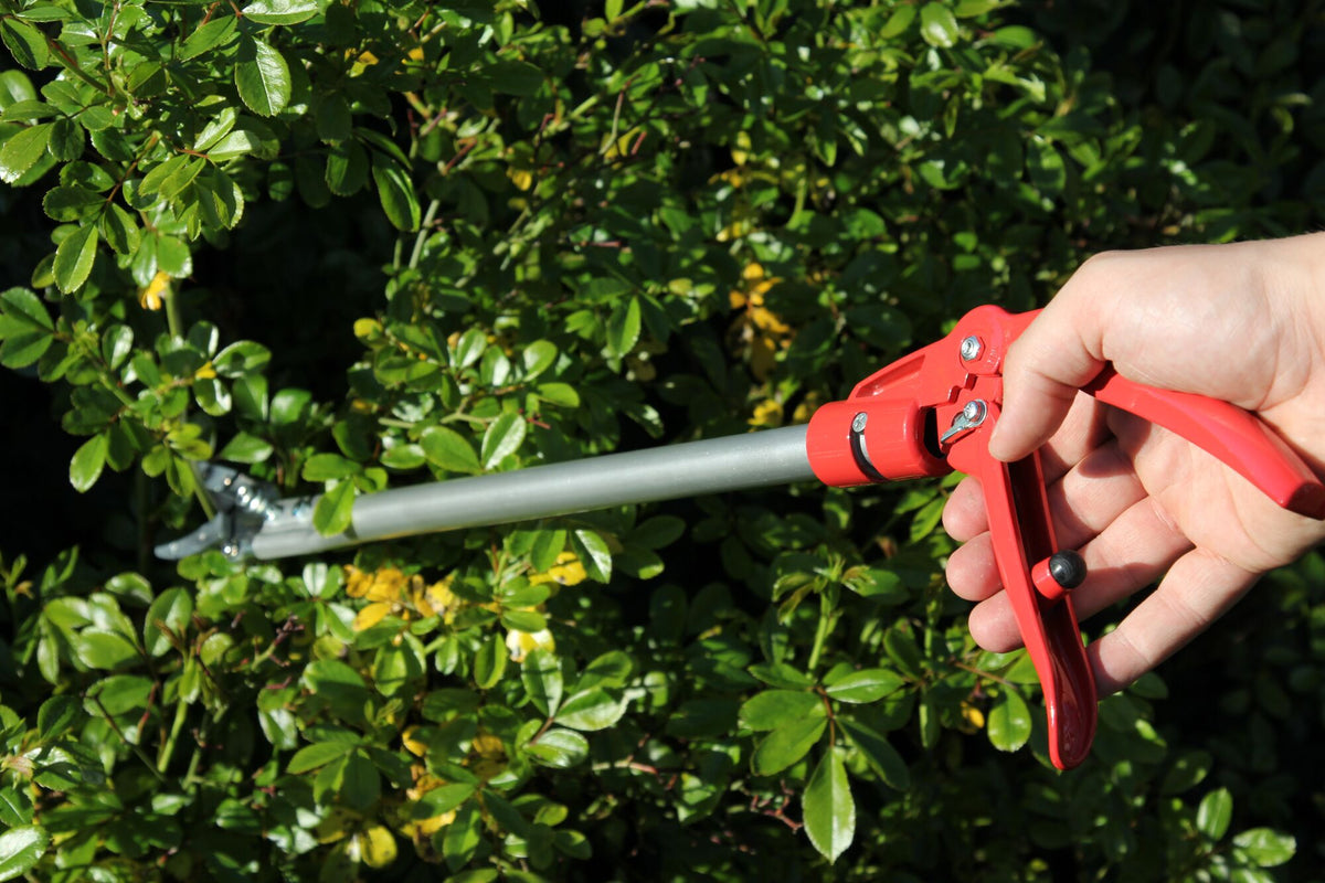Long reach pruning shears 23.62 in, red
