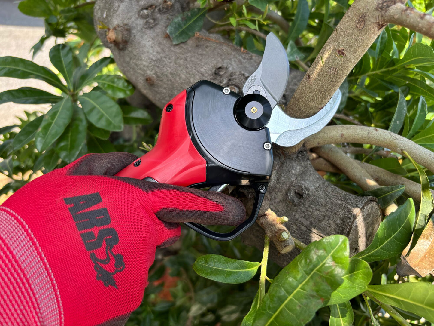 Battery-powered pruner, red/black