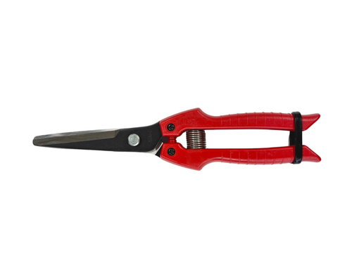 ARS Onion Scissors