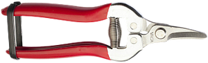 Hedge Shears