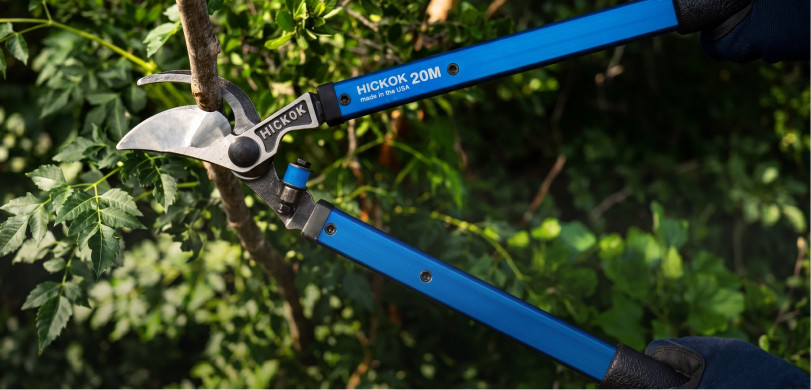 Shears