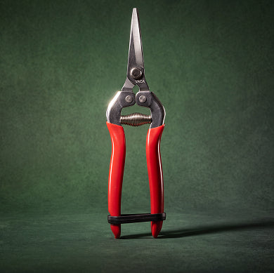 Clippers